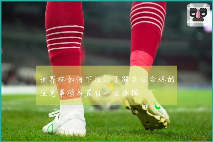 世界杯如何下注？了解合法合规的注意事项与最佳平台选择