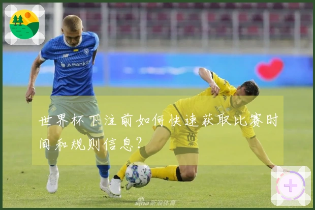 世界杯下注前如何快速获取比赛时间和规则信息？
