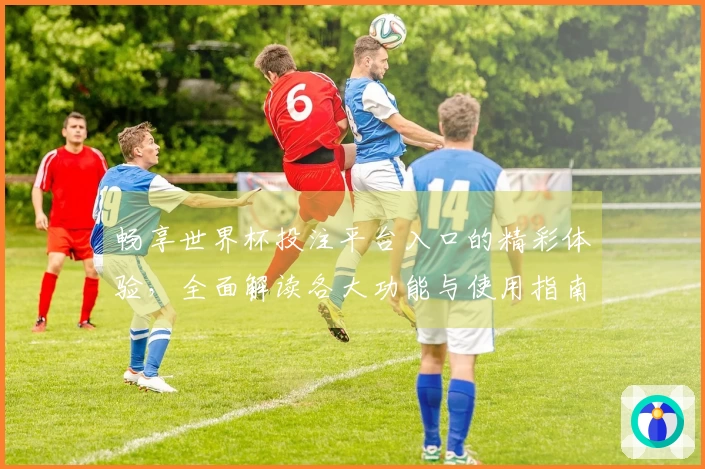 畅享世界杯投注平台入口的精彩体验,全面解读各大功能与使用指南