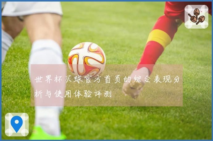 世界杯买球官方首页的综合表现分析与使用体验评测