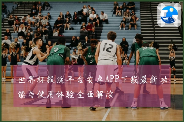 世界杯投注平台安卓APP下载最新功能与使用体验全面解读