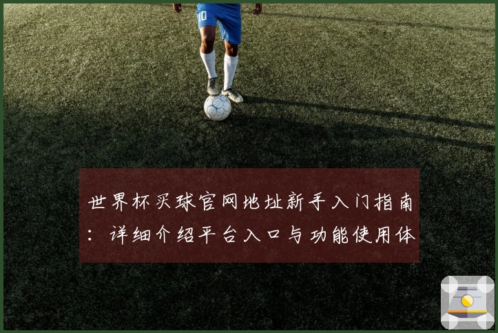 世界杯买球官网地址新手入门指南：详细介绍平台入口与功能使用体验