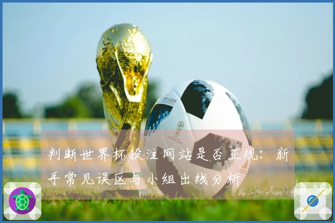 判断世界杯投注网站是否正规:新手常见误区与小组出线分析