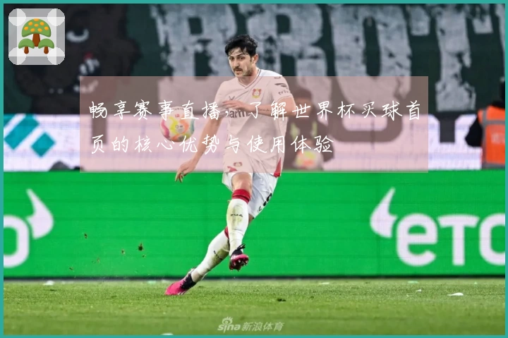畅享赛事直播,了解世界杯买球首页的核心优势与使用体验
