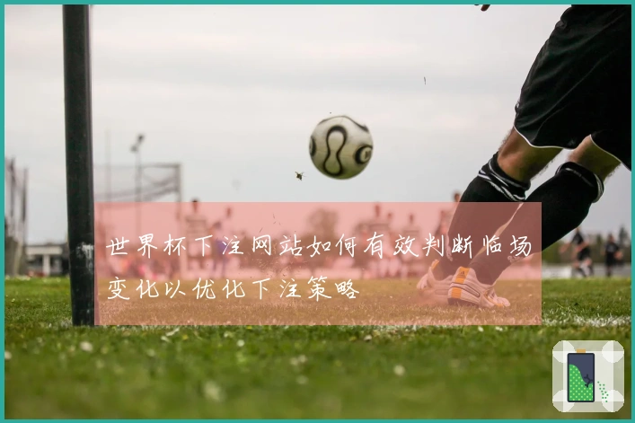 世界杯下注网站如何有效判断临场变化以优化下注策略
