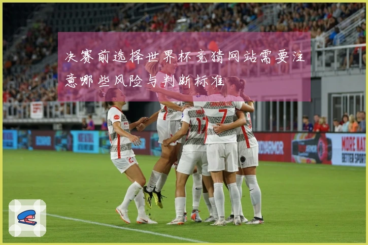 决赛前选择世界杯竞猜网站需要注意哪些风险与判断标准