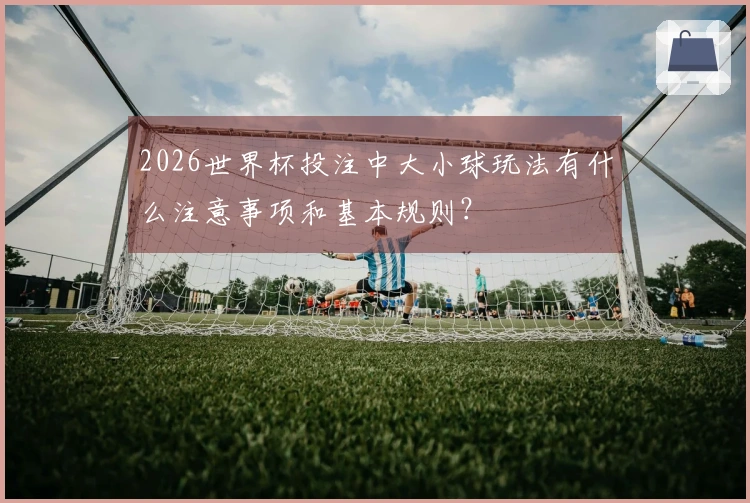 2026世界杯投注中大小球玩法有什么注意事项和基本规则？