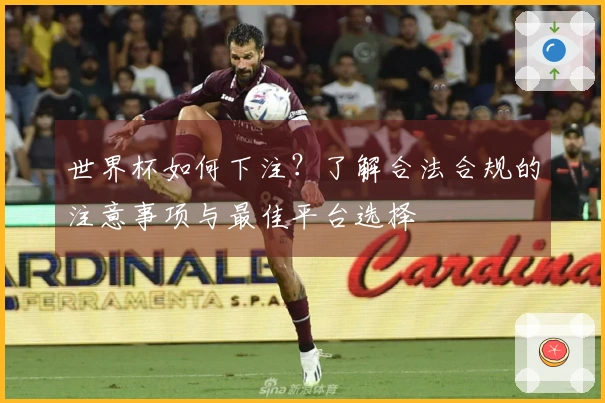 世界杯如何下注？了解合法合规的注意事项与最佳平台选择