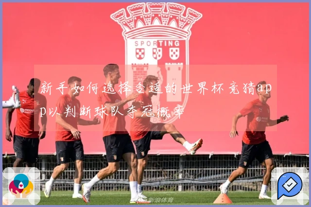 新手如何选择合适的世界杯竞猜app以判断球队夺冠概率