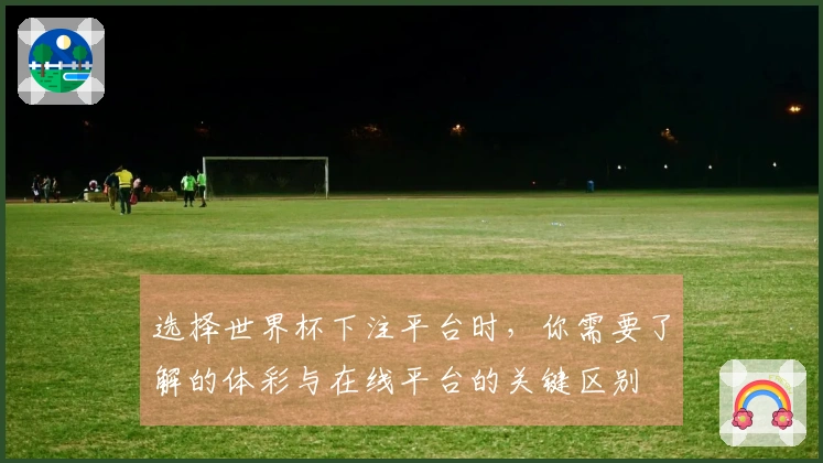 选择世界杯下注平台时，你需要了解的体彩与在线平台的关键区别