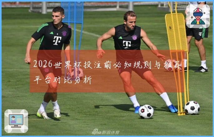 2026世界杯投注前必知规则与推荐平台对比分析