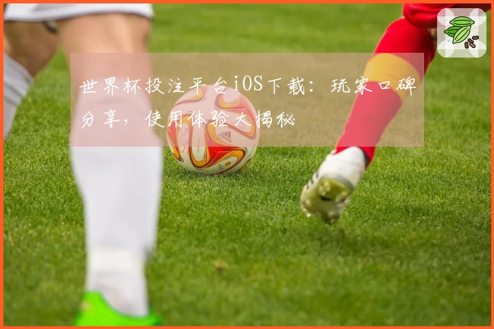 世界杯投注平台iOS下载：玩家口碑分享，使用体验大揭秘